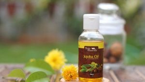 Jojoba oil: properties and recommendations for use