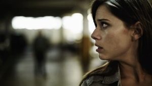 Paranoid: characterization of personality type and recommendations for interacting with it