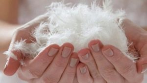 Pooh and sintepon: what is better and warmer?