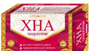 Brown henna for hair: benefits, harm and tips on using