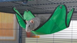Hammock for the rat: how to choose, do it yourself and equip?