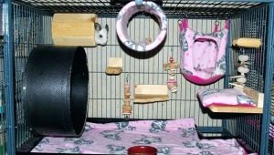 Toys for chinchillas: requirements, tips on choosing and making