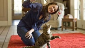 Toys for cats: types and subtleties of choice