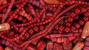 Coral: properties, colors, how it looks and how to care?