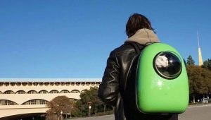 Tips for choosing a carry-backpack for cats