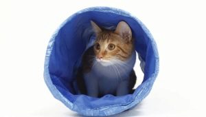 Tunnels (tunnels) for cats: types and selection criteria