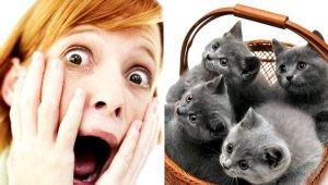 Aylurofobiya: what is it and how to get rid of it?