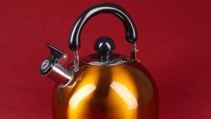 Whistling kettles: types, manufacturers review and features of choice
