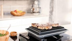 Electric grills: views, model overview, and tips on choosing