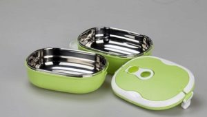Features of the choice of thermo-lunch boxes