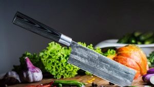 Japanese kitchen knives: types, rules of choice and care