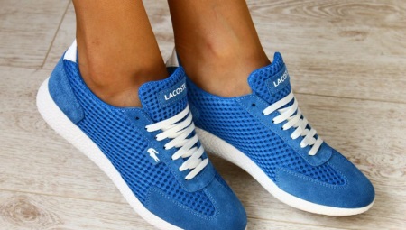 Mesh Trainers