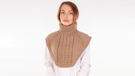 Scarf with neck