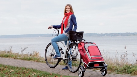 Shopping bag on wheels