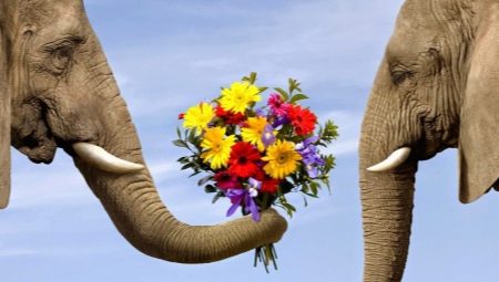 Ethics and etiquette: the relationship of concepts