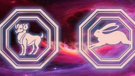 Characteristics men Rabbit-Aries