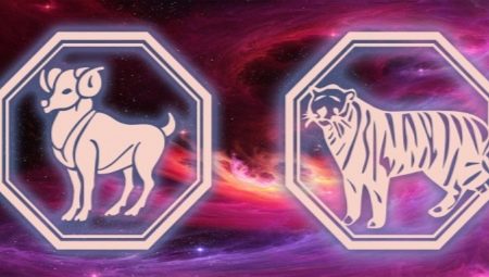 Characteristics of men Aries-Tigris