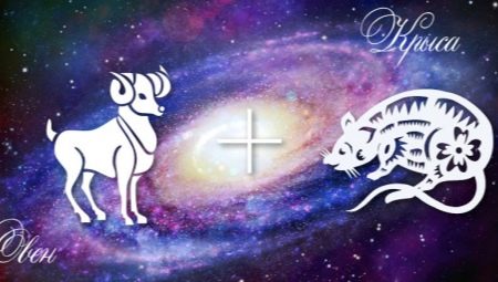 Characteristics of men Aries-Rat