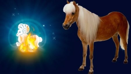 Characteristics of men Aries Horse