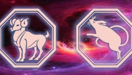 Characteristics of women Aries-Rat