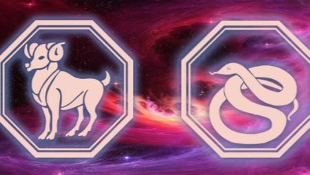 Full characteristic of Aries-Snake