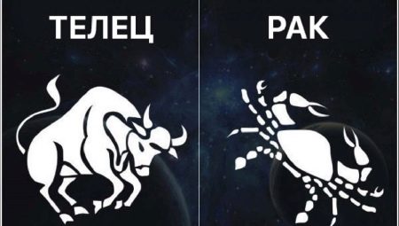 Cancer and Taurus: compatibility signs of the zodiac in relationships and business