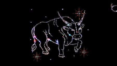 Union Taurus with Taurus: the secrets of harmonious relations