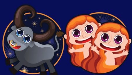 Taurus and Gemini: compatibility in love and business relationships