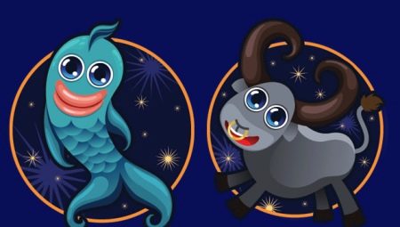 Taurus and Pisces: what should be expected from such a relationship?