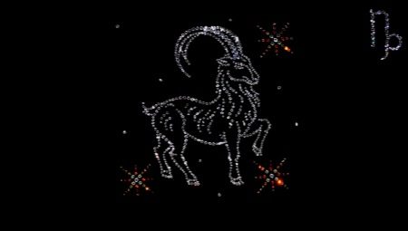 Characteristics and compatibility of the male Capricorn, born in the year of the Monkey