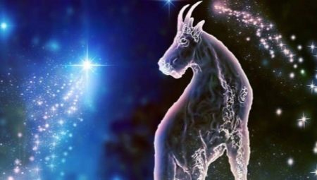 Characteristics and compatibility of women Capricorn, born in the year of the Rat