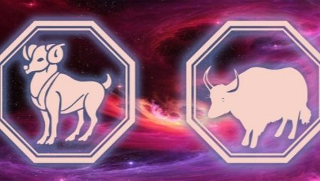 Characteristics of women Capricorn, born in the year of the Bull