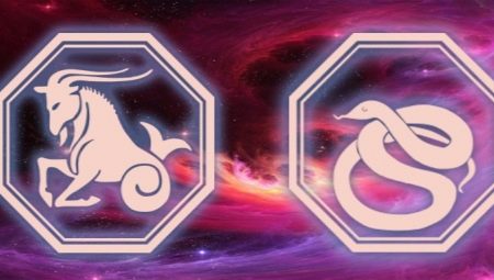  Characteristics of Capricorn Men, born in the year of the Snake