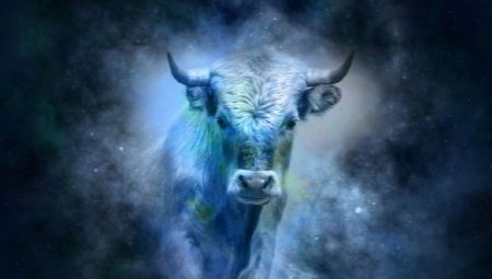 Taurus Rabbit male: personality characteristics and compatibility