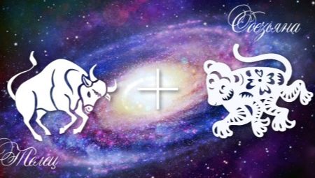 Taurus Monkey male: personality characteristics and compatibility