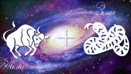 Male Taurus Snake: personality traits and compatibility