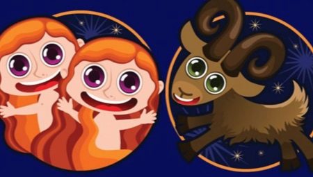 Compatibility of Capricorn and Gemini in love, marriage, friendship and work