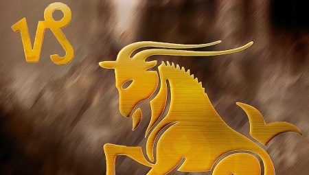 Compatibility of Capricorn with other zodiac signs