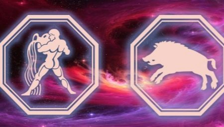 Aquarius woman born in the year of Pig