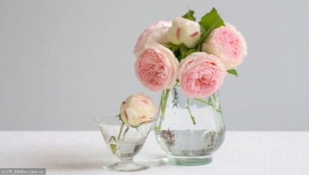 What should I do to ensure that roses stand in a vase for a long time?