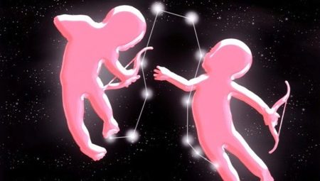 Character and compatibility of a male Gemini born in the year of the Bull