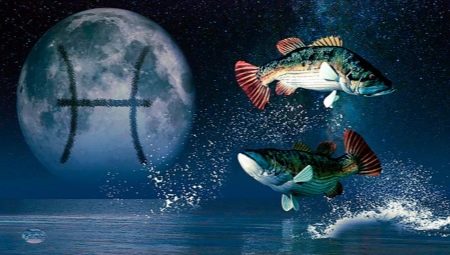 Characteristics and compatibility of fish born in the year of the Rat