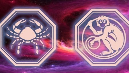 Characteristics and compatibility in the love of a man of Cancer, born in the year of the Monkey