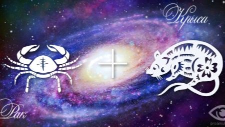 Characteristics and compatibility of a Cancer woman born in the Year of the Rat