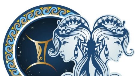 Characteristics of a male Gemini, born in the year of the Rat