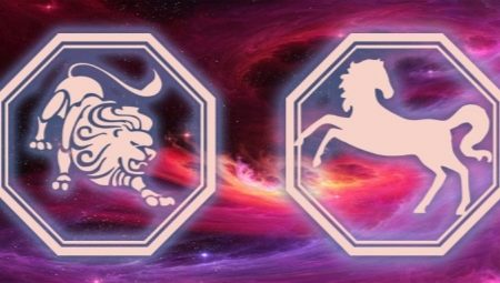 Characteristics of a man Leo born in the year of the Horse