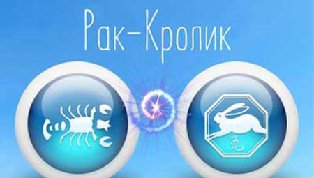 Characteristics of a Cancer Woman Born in the Year of the Rabbit