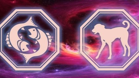 Characteristics of women Fish, born in the year of the Dog