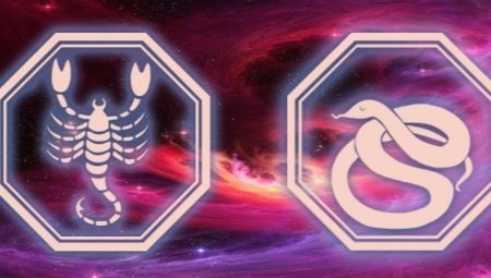 Characteristics of a Scorpio woman born in the Year of the Snake