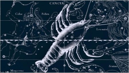 Male Cancer, born in the year of the Bull: characteristic and compatibility